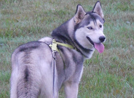 DSCN2614.JPG