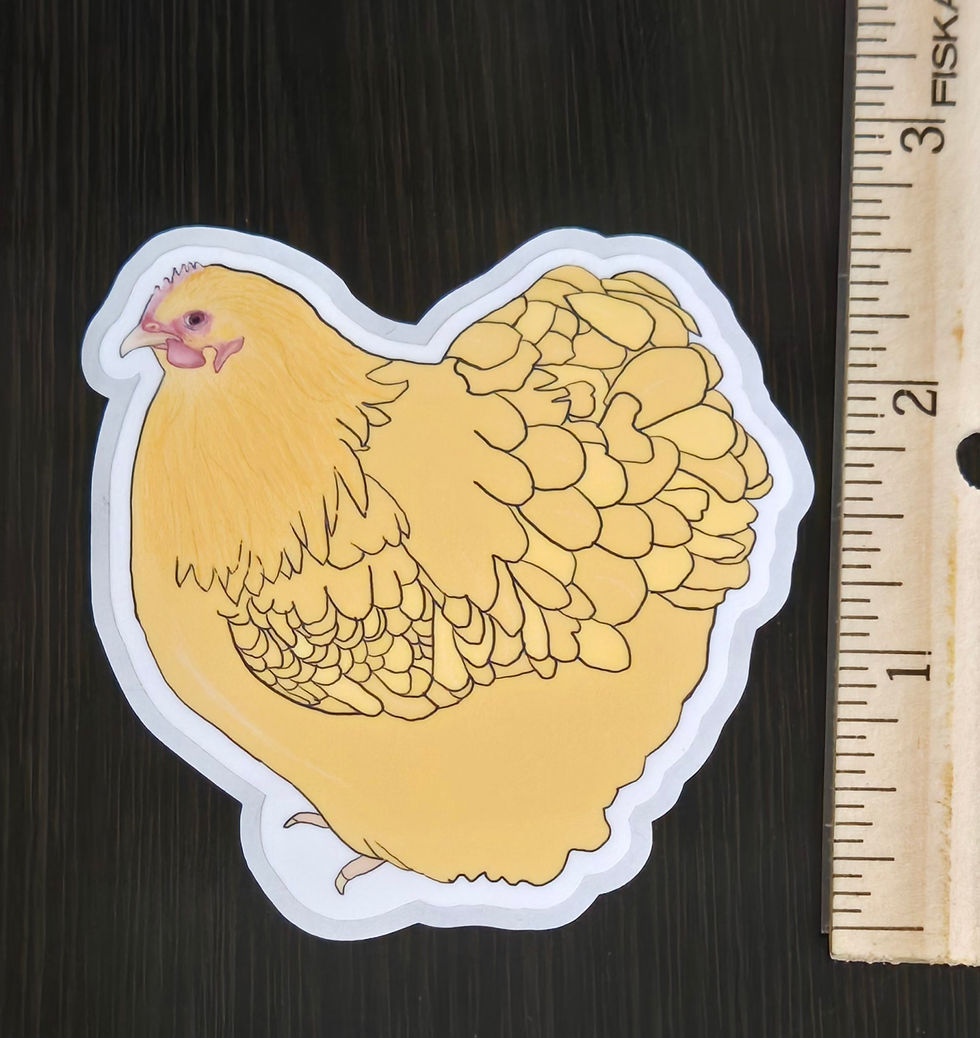 Thumbnail: Chicken Stickers Laying Breeds