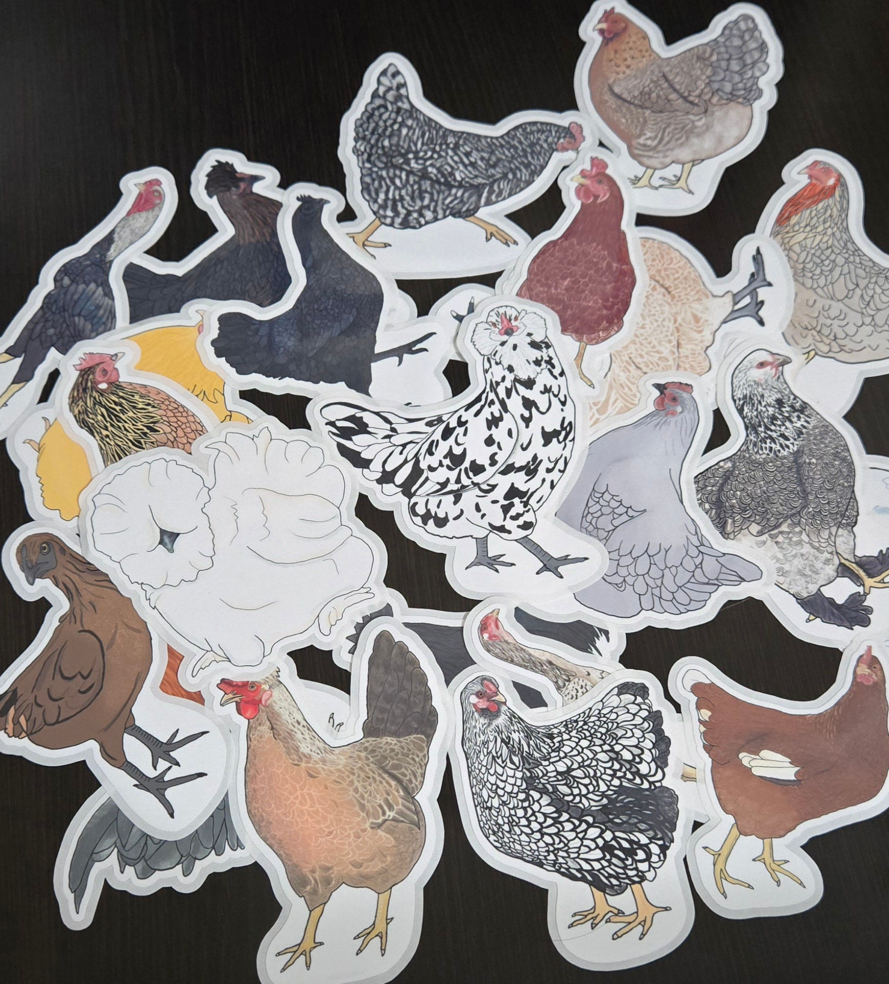 Chicken Stickers Laying Breeds