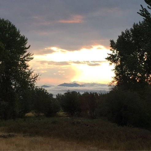 2015-07-27 06.33.17