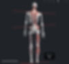 skeleton-chiropractic-nucca