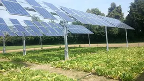 Double-Dividend Technology: Agrivoltaics