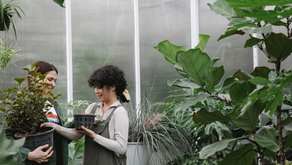 A Guide for Future Green Business Leaders