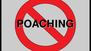 Poaching Should be Deadly – for the Human
