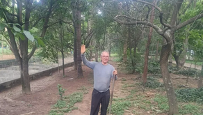 One Tree at a Time