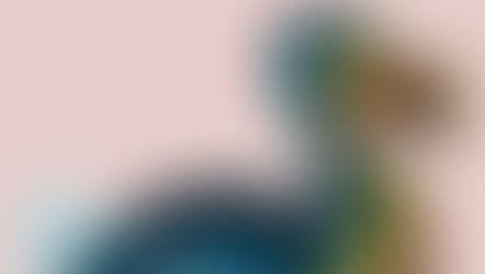 Get to Know the Dodo 🎥