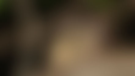 Adaptation: The Winners from Human Disturbance