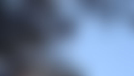 Still Hanging in There