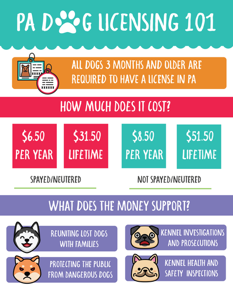 20201218_Dog_Licensing_101.png