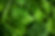 Epinards feuille 500g