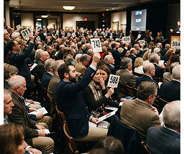 show an auction crowd not the auctioneer.jpg