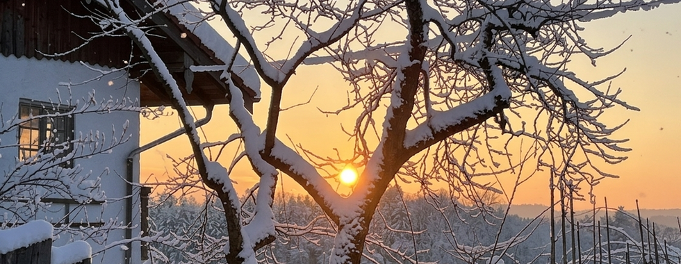 Winterstimmung in Amerang