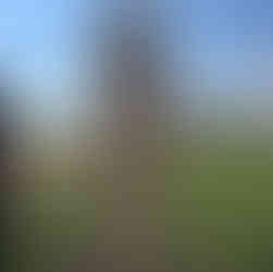 Wanderwege im Chiemgau