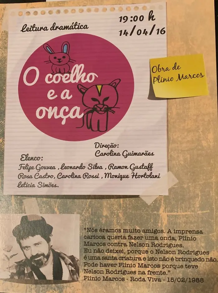 Cartaz de O Coelho e a Onça