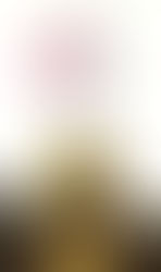 32 урока плетеная из лозы