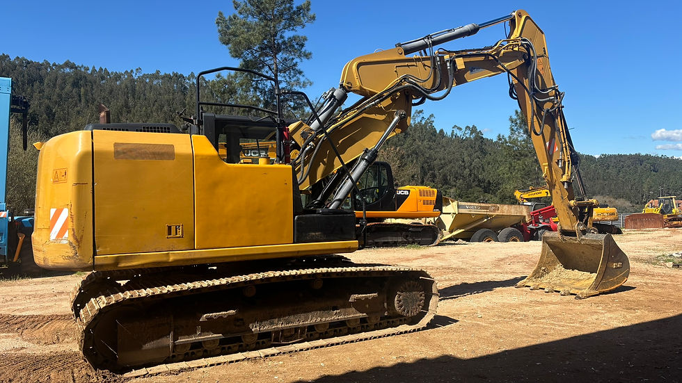Miniatura: CATERPILLAR 318EL