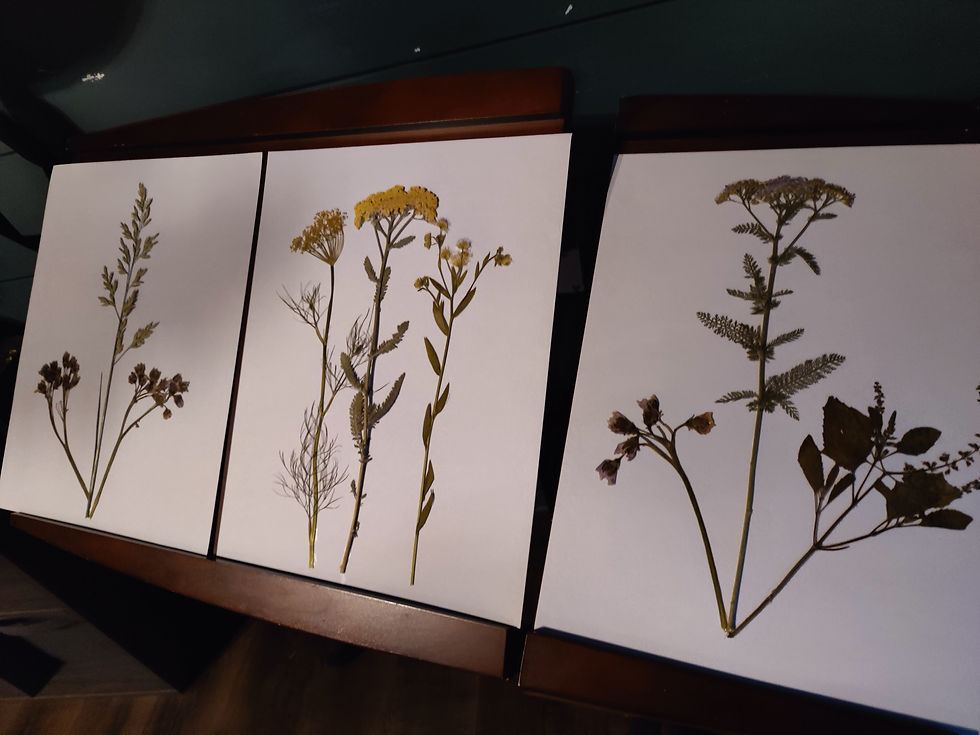 Pressed Flower Art - For Gifting or Decorating
