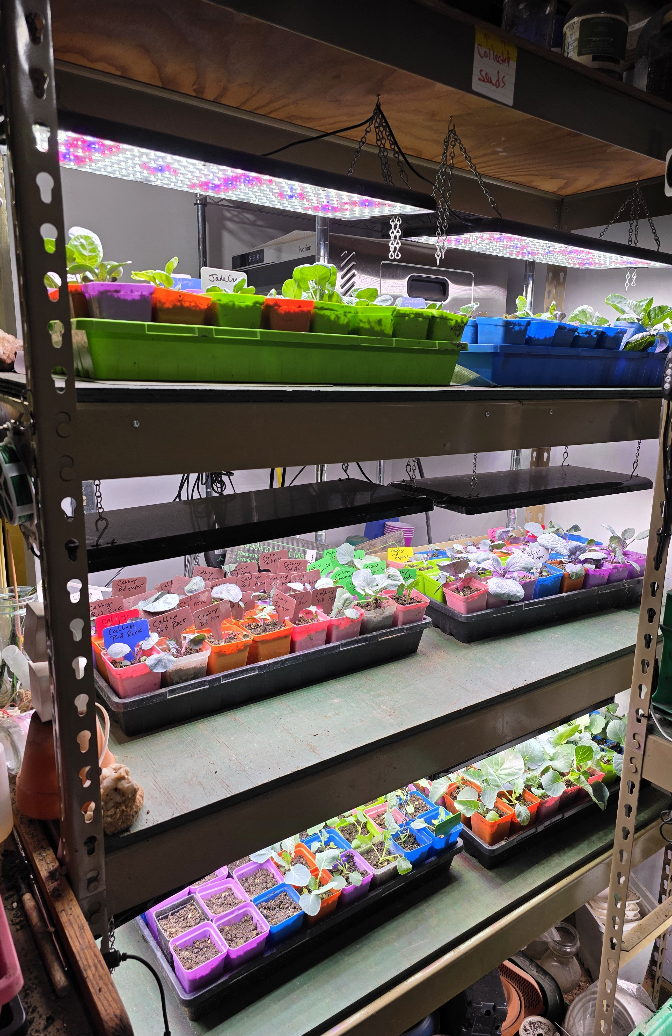 Help us Grow More Seedlings