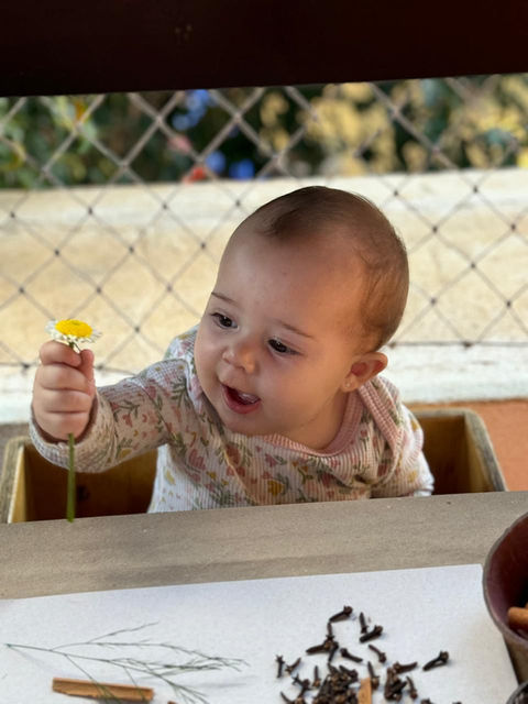 criança estudando, bebê segurando uma flor, crianças se divertindo, escola meu quintal