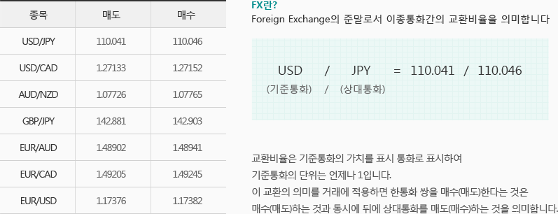 FX_img01.gif