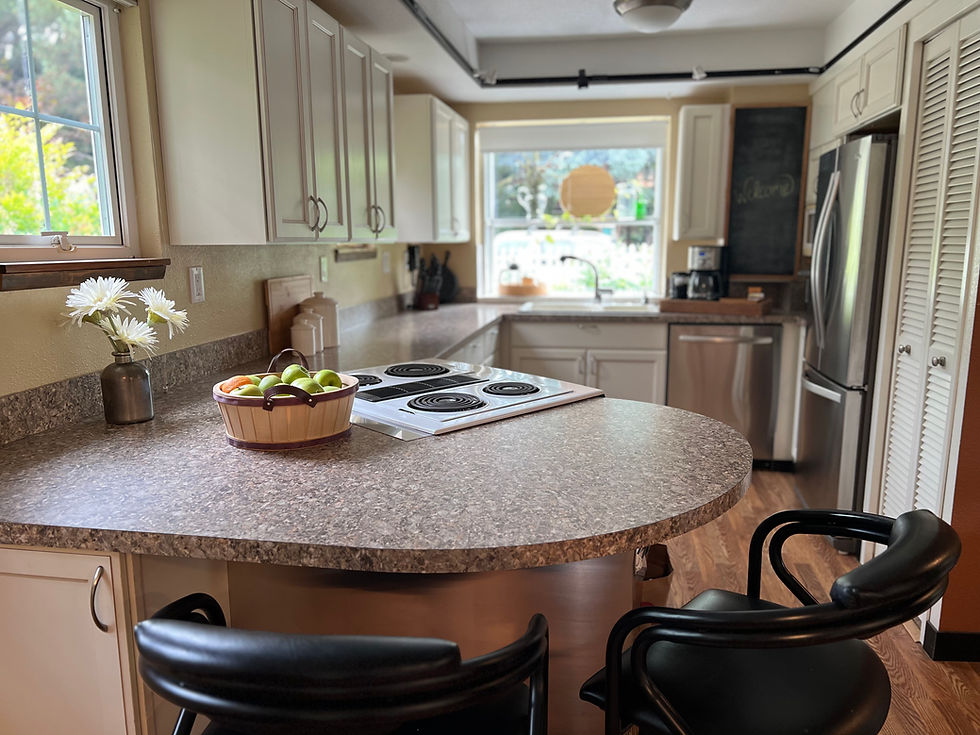 breakfast bar and kitchen
