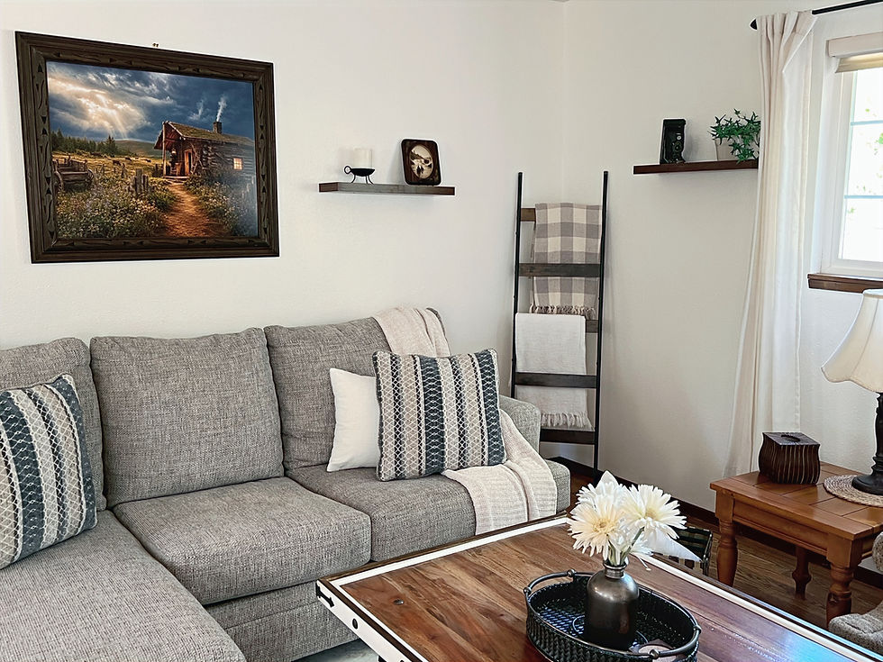 Comfortable sofa lounge