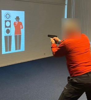 Holland - Project 2_edited_edited.jpg