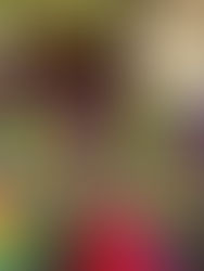 Guatemala Team Update #4