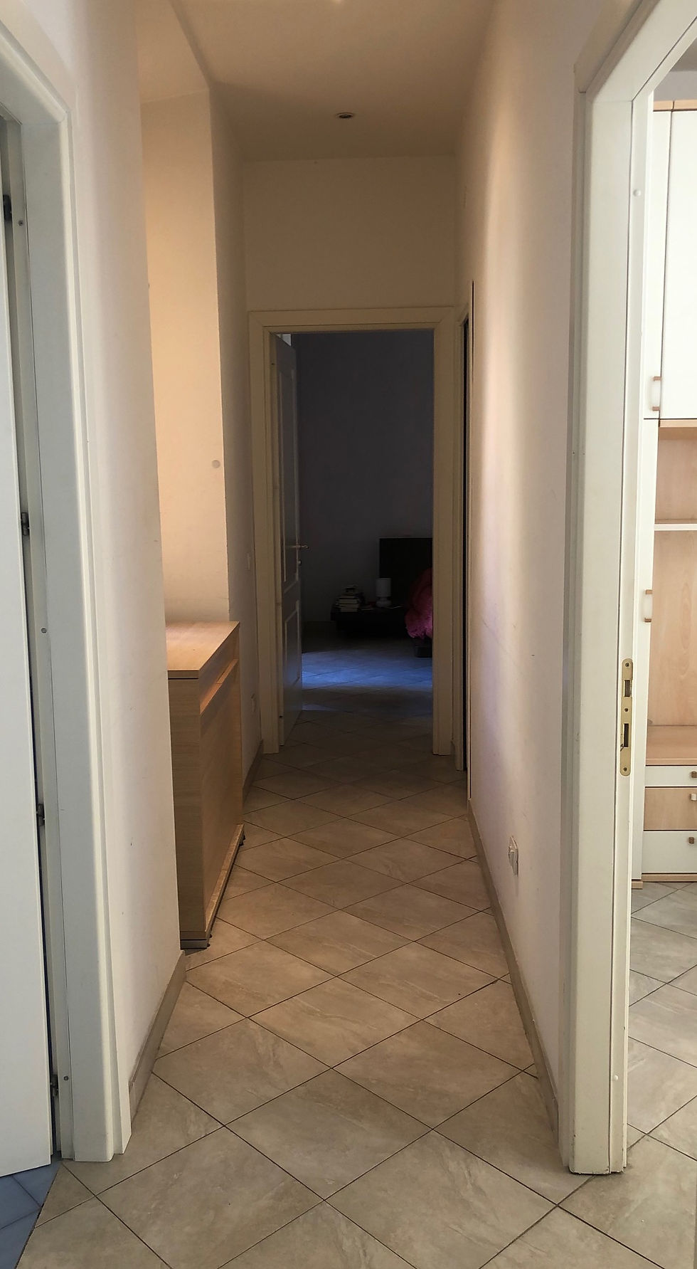 Miniatura: Via Polesine