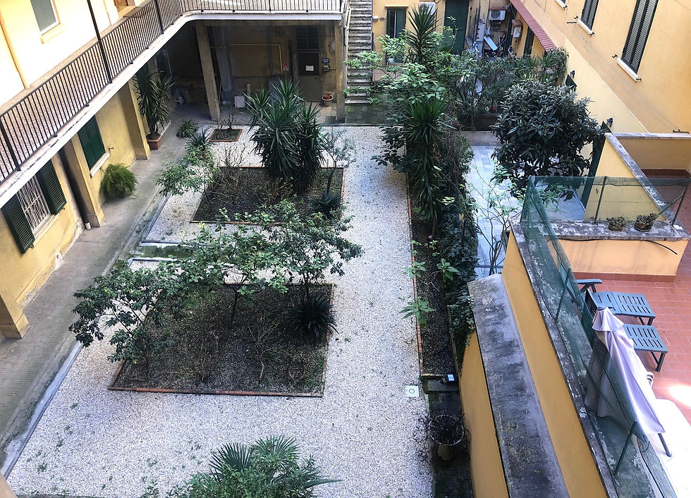 Miniatura: Via Polesine