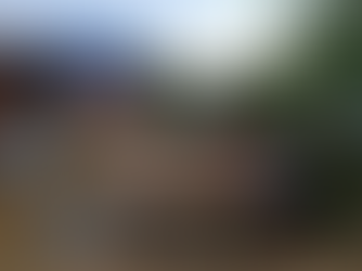 Barangay Paltok, Nakiisa sa Simultaneous BARANGAY AT KALINISAN DAY (BarKaDa)