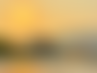 Lý-Trần Diễn Nghĩa