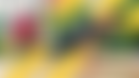 Học Viện Ngoài Kia: Kiểm Tra Đánh Giá Thể Lực (Physical Assessment Test) Năm 2025