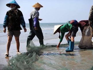 Kinh Tộc Tam Đảo - Nguồn Gốc Dân Tộc Kinh Ở Trung Quốc