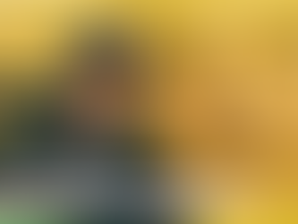 ĐỏNKI Chính Thức Gia Nhập NKI