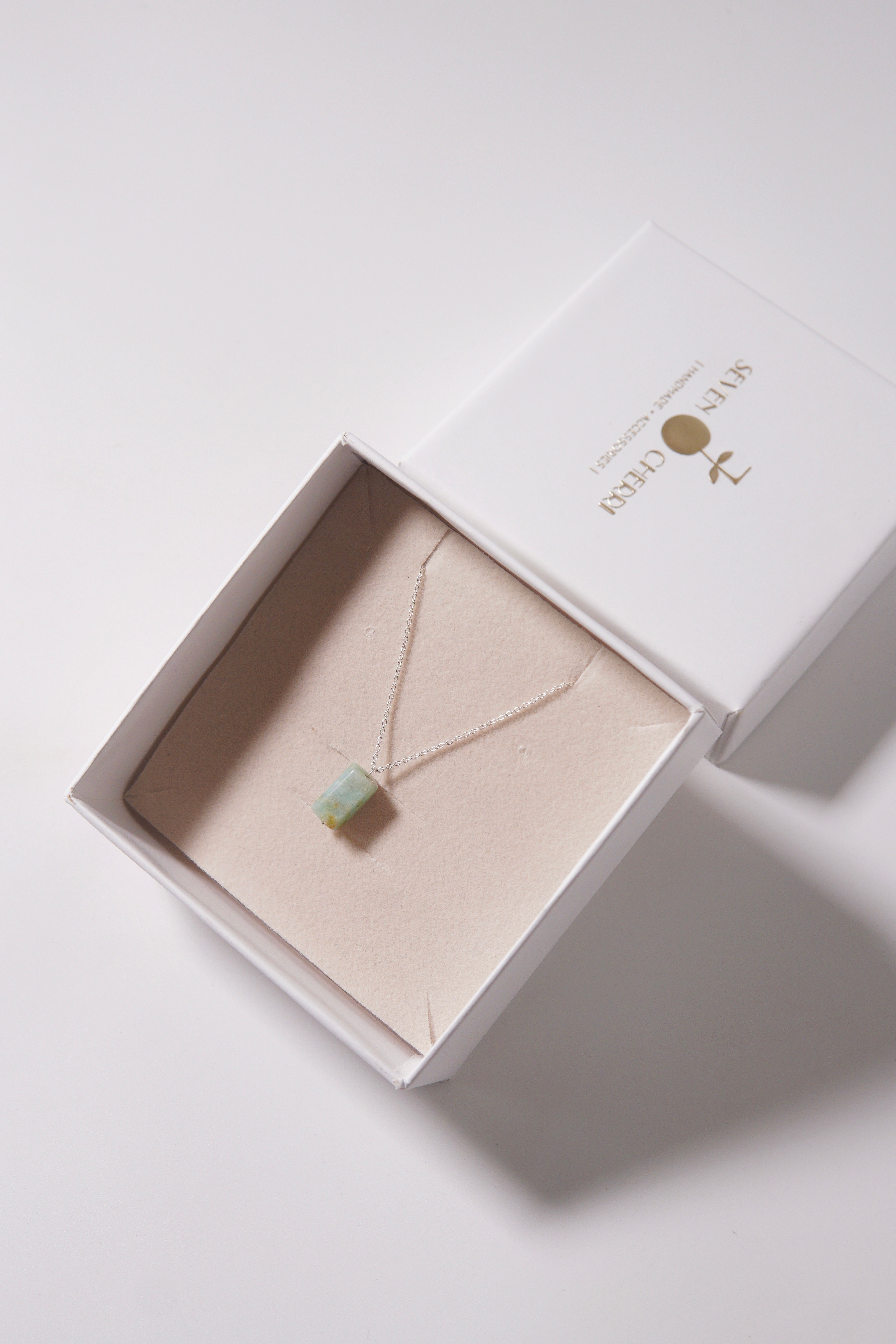 Amazonite 925 Silver Neck Chain