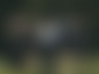 Red Velvet jumps up from 15th to 9th in the MAMA twitter voting