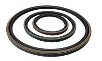 Piston_Seal_Final-removebg-preview.png