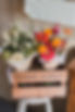 stand-2.jpg