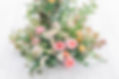 dallas-wedding-photographer-ceremony-details-19_websize.jpg