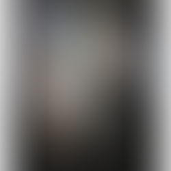 Medieval Day- November 3/2024