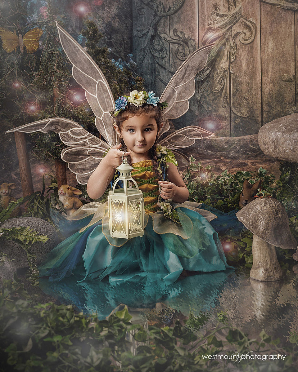 sudbury fairy photos