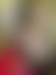 Stop & STEM Sparks Creativity, Collaboration, and Holiday Cheer