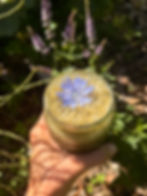 image00002.jpeg