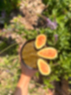 image00002.jpeg