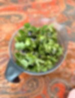 image00001.jpeg
