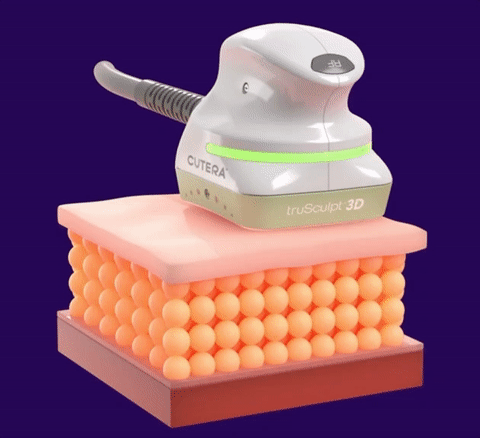 TS3DGlideAnimationSmall_1.gif