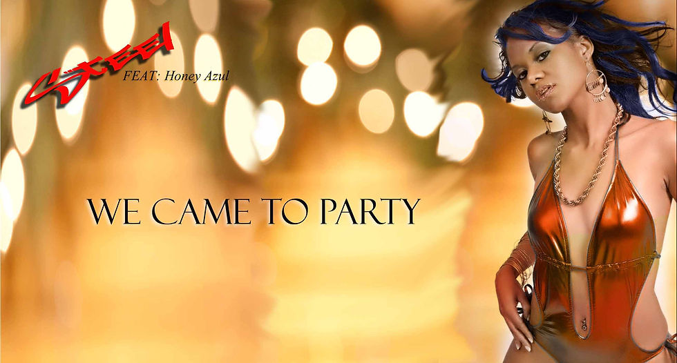 We Came to Party Album Cover