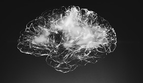 brain power mental NLP training coaching