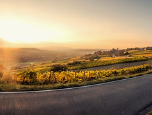 road of personal development, NLP training